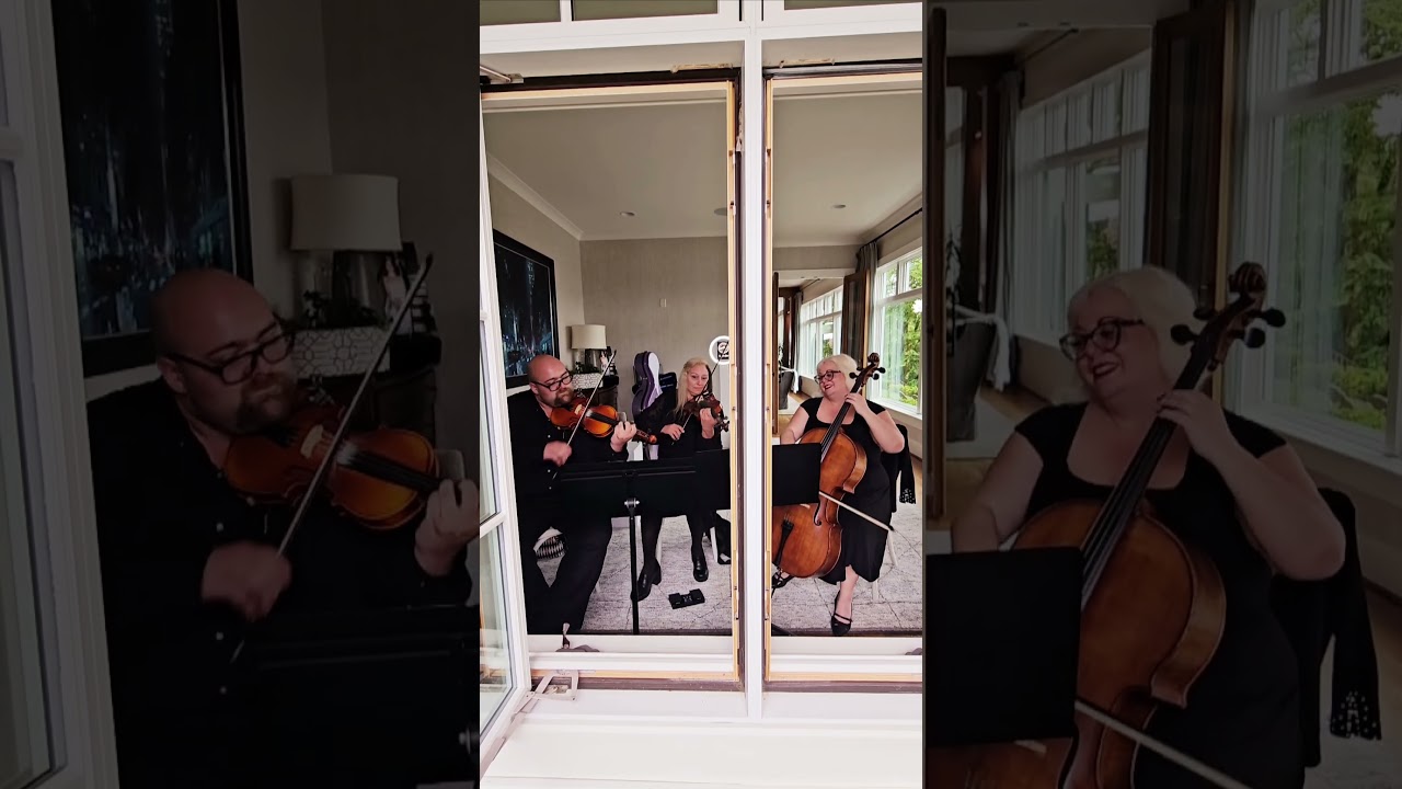 Promotional video thumbnail 2 for AP Strings