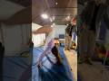 Atomic Wedgie Flip Wedgie Master Parkour Flip Gymnast Wedgie Trampoline Wilmingtonchiropract