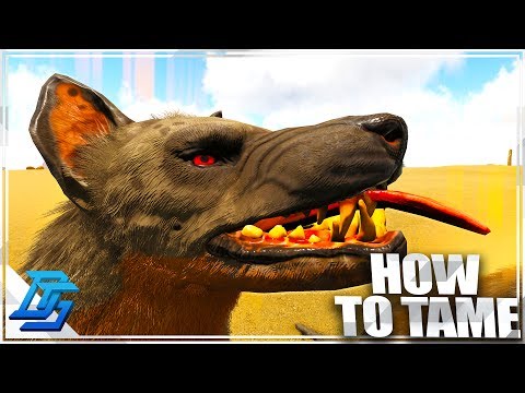 How to Tame Hyaenodon & Science of taming ! - Ark Survival Evolved - Part 14 (Primitive Plus)