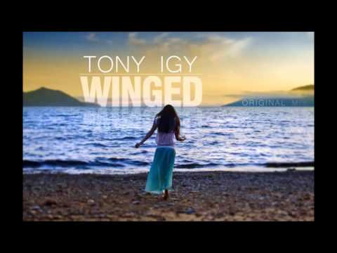 Tony Igy - Winged (Original Mix)