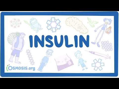 Insulin (Insulins)