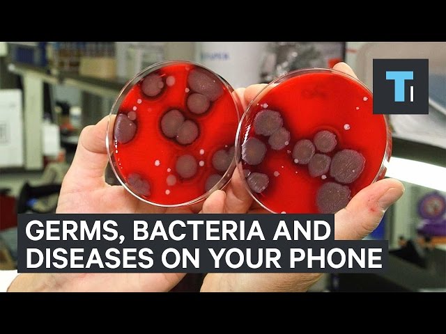 Cell Stinky The Hidden Dangers of Bacteria on Your Cell Phone | Magica