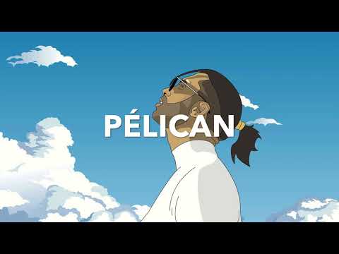 PNL X DTF X MMZ Type Beat - « Pélican » (Prod By STR)