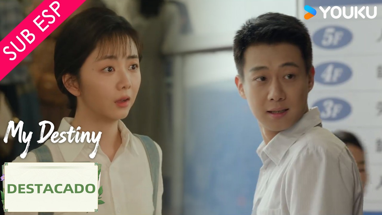 【SUB ESP】Luchando por tener un empleo como mujer luchadora | Mi Destino | YOUKU