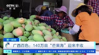 Re: [問卦] 禁台灣芒果沒差吧?