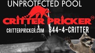 Stop Raccoon poop in your pool with the Critter Pricker ®