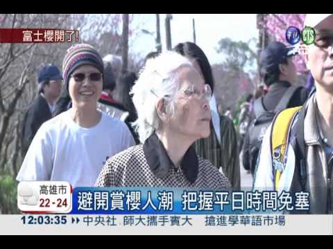 高畫質賞櫻花! 華視帶您身歷其境