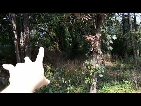 Prospect Park - Shrewsbury MA