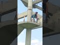 Pakistani Kabootar Pakda Aaj Kabootar Pigeon Salekabootarjarman Kabootarbazi Pigeons