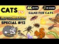 CAT Games | Ultimate Cat TV Compilation Vol 12 ✅ Episode SPECIAL ✅ 8 HOURS 🐝🐞🦋🦎🦜🐜🐭🧵