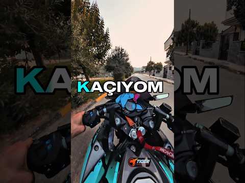 THEY FELL ON THE BENCH #motovlog