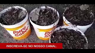 Como Fazer Compostagem de Folhas Secas e Galhos de Plantas e Esterco de Gado.