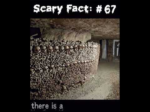 😱 Scary Fact #67 😱