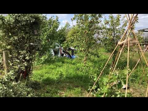 060720 end of week 1.