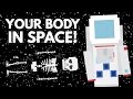 What Exactly Does Space Travel Do To Your Body