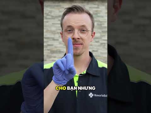 Chỗ Ngồi Đẹp Nhất Trong Sân Vận Động Là Ở Đâu?