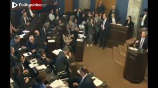 Ծեծկռտուք՝ Վրաստանի խորհրդարանում