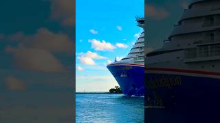 Carnival Celebration 🛳️  #shorts #youtubeshorts #travel #cruise #yt