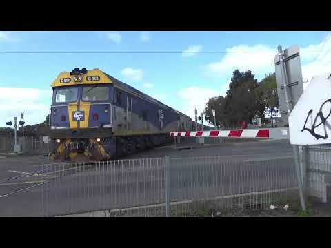 Broad Gauge Grain Train With Loco G512 G521
