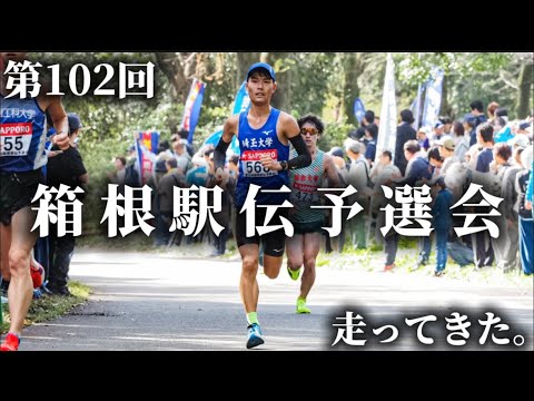 学校教育教員養成課程 【涙の理由】箱根予選会2025が教えてくれたこと。#箱根駅伝予選会 #箱根駅伝 #埼玉大学 #陸上 #駅伝 #全日本大学駅伝