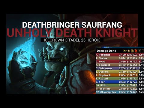 OUT DPSing a BIS Warrior ! Unholy Death Knight | Deathbringer Saurfang 25 HC| Wrath of the Lich King