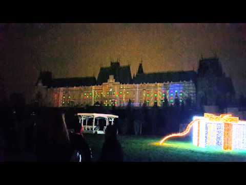 visul unei nopți de iarnă