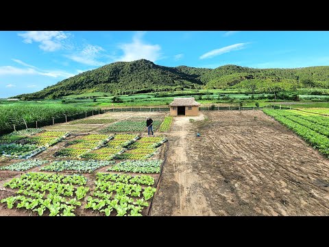 Full 100 Days :  How to Farm Alone for Beginners