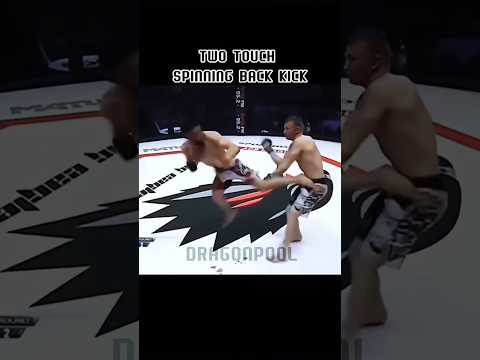 Feint Back Kick Tutorial 🥊🔥 | MMA Technique Explained #Shorts