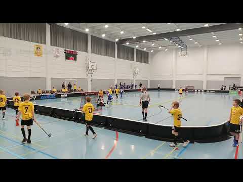 P11SKL2 Welhot Flames - Leba 96