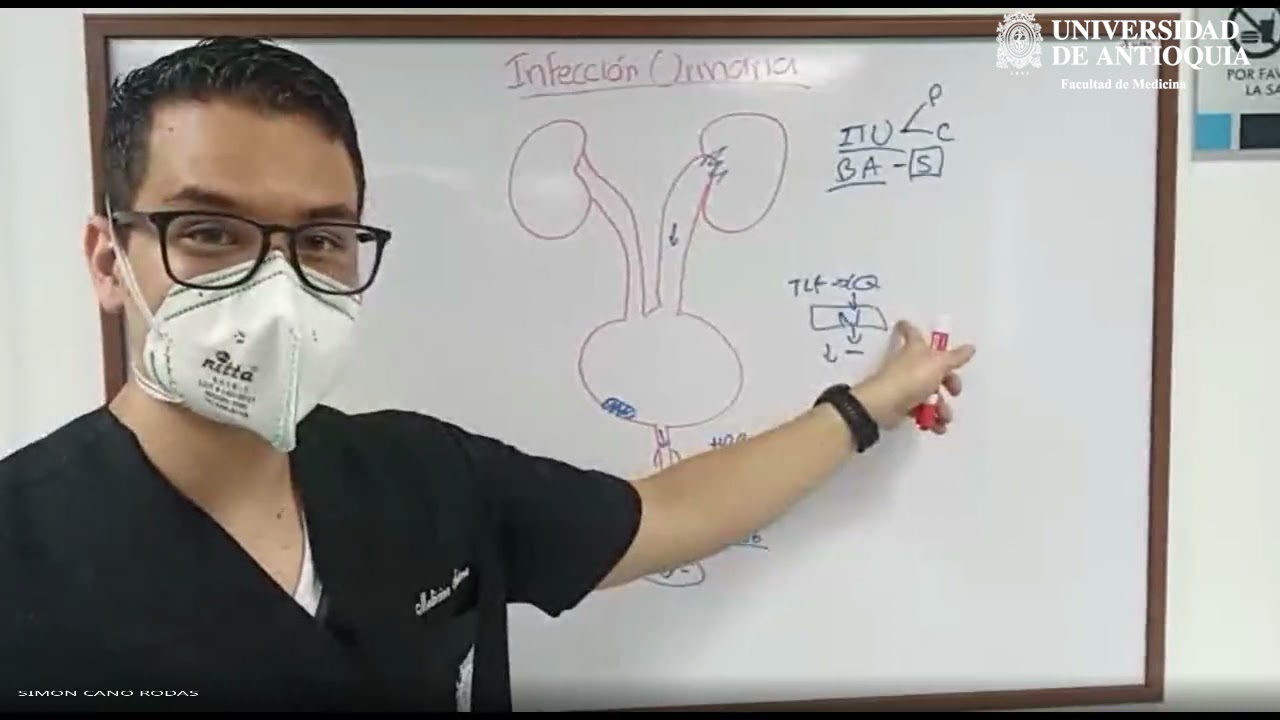 Infección Urinaria - Dr. Simón Cano
