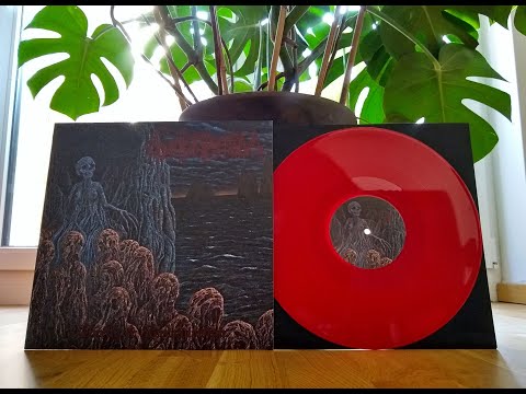 Solipsism - Cruelty & Necrospection (2021)