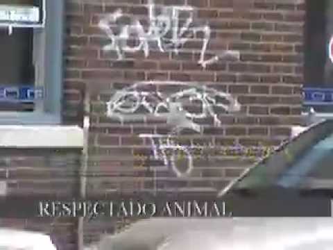 Graffiti Ville Emard ..Monk up...MC PIG.. Montréal