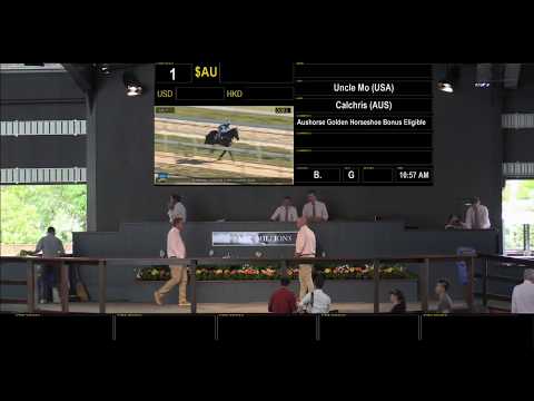 2018 Gold Coast 2YOs in Training Sale & 2018 Gold Coast Spring Racehorse Sale