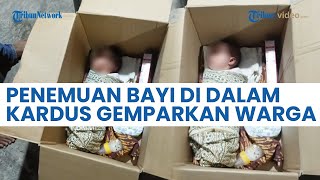 Penemuan Bayi di Dalam Kardus Lengkap dengan Susu dan Popok Bayi Gemparkan Warga