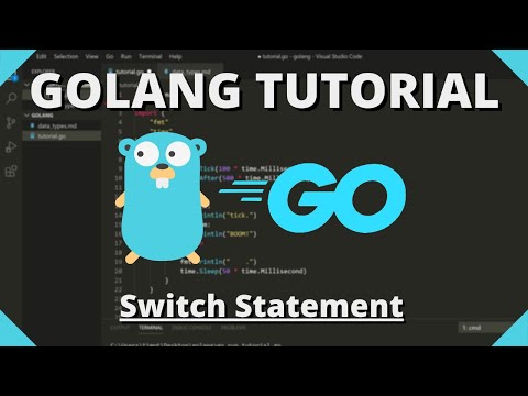 Golang Tutorial 11 Switch Statement