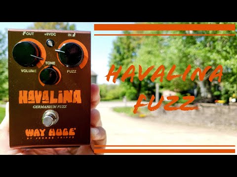 Way Huge Havalina | Vintage Fuzz Tones!