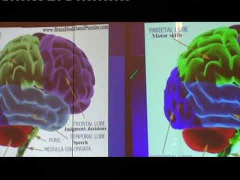 Prof.dr. Warren Grubb- "Je li sve u glavi" (4.rujna 2012.g.) četvrto predavanje