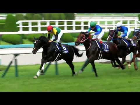 2022.06.26　宝塚記念　タイトルホルダー