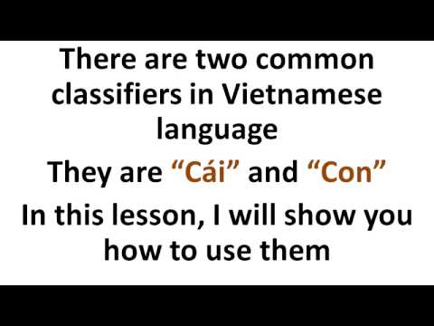 Learn Vietnamese: How to use Cái and Con classifiers