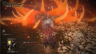 エルデンリング 神秘99マンが腐敗の女神マレニア 簡単ノーダメ撃破 【ゆっくり】 EldenRing Malenia, Blade of Miquella, No Damage Arcane 99