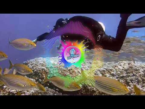 Punjabi Dance Mix - NON STOP - EPISODE 73 - DJ VISH