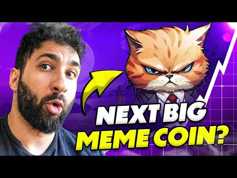 Could be Solana’s Next Big Meme King? — Professor Cat Coin Full Walkthrough