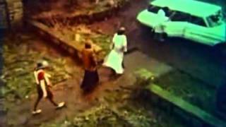 bonzo dog doo dah band - you done my brain in