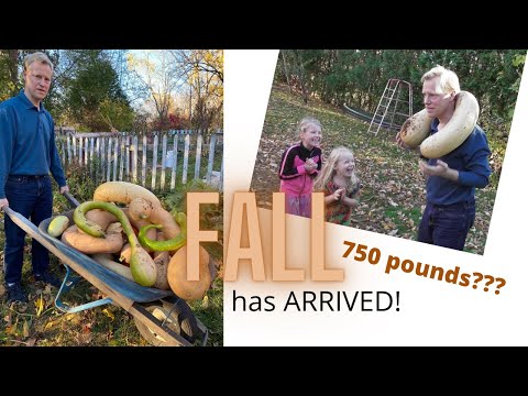 FALL has finally arrived!!! Will we make 750lbs grown from our garden???