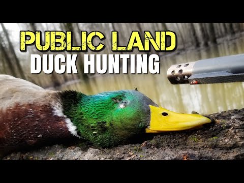 5 Keys To PUBLIC LAND Duck Hunting - Duck Hunting Tips