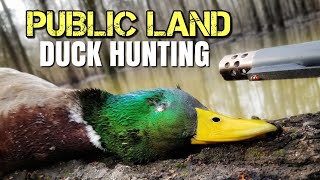 5 Keys To PUBLIC LAND Duck Hunting - Duck Hunting Tips