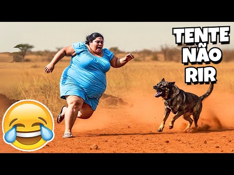 TENTE NÃO RIR: VÍDEOS ENGRAÇADOS 2025 E MEMES - #68