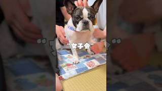 初めての女子会