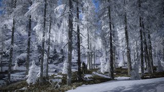 Skyrim SE 2022 - Gameplay - Blubbo is testing a new winter tree set