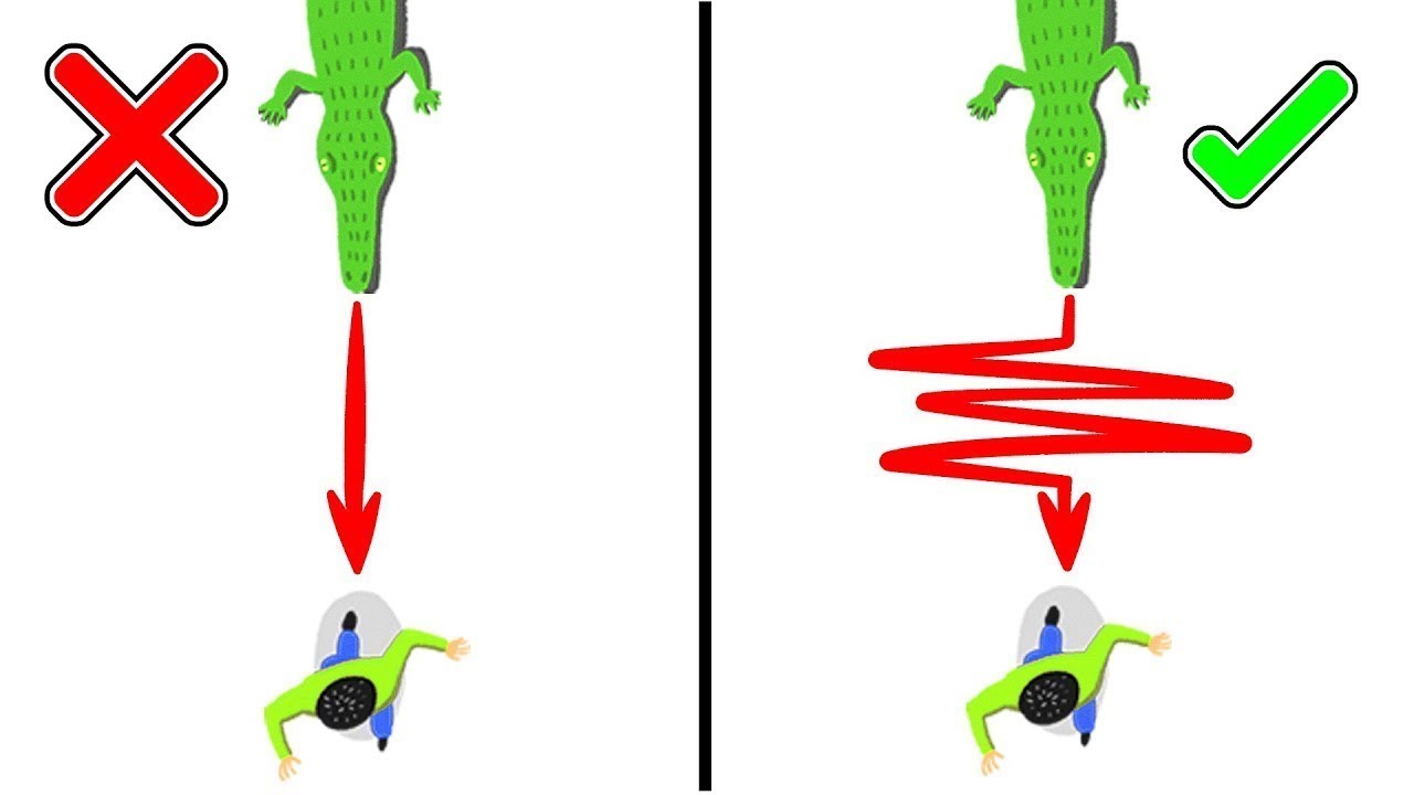 10 Dicas que Podem Vir a Salvar a Sua Vida Um Dia